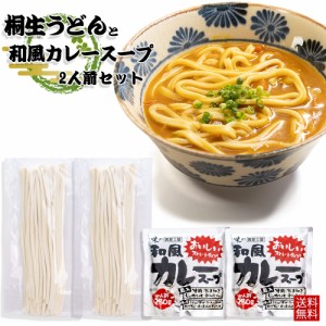 和風カレーうどんセット 2人前セット 桐生うどん 130g×2 カレースープ 280g 追跡可能メール便 送料無料