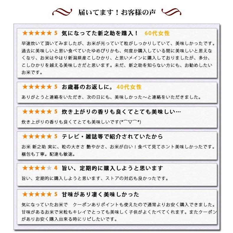 新米 無洗米 5kg 送料別 新之助 しんのすけ 新潟県産 令和5年産 1等米 米 5キロ お米 食品