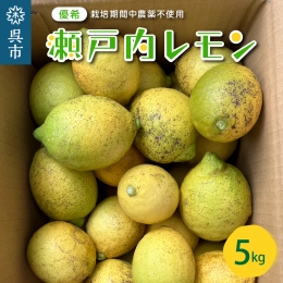 大崎下島産 栽培期間中農薬不使用 瀬戸内レモン 5kg