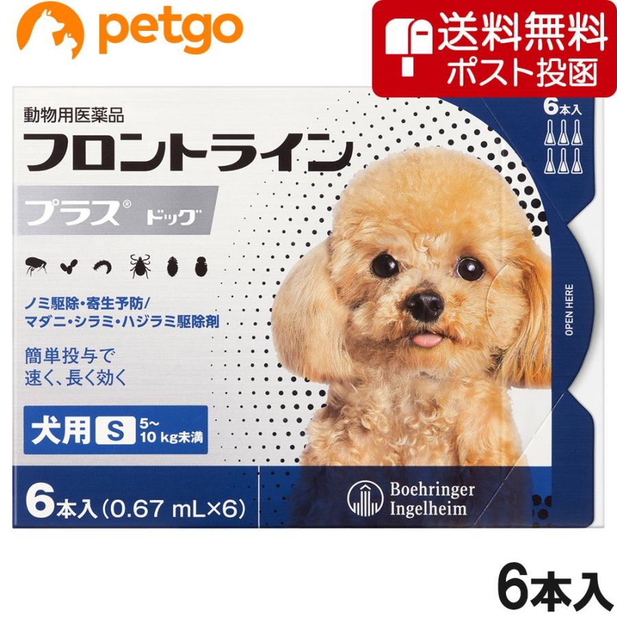 お届け先関東限定 2個セット「フィトケア K60 犬猫用 60ml」同梱不可 三ビグ