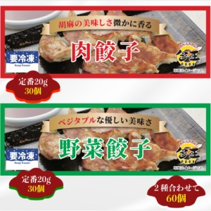 餃子 ギョウザ 大容量 お取り寄せ 食品 冷凍 グルメ 国産牛 ギフト贈答 贈り物 点心 惣菜 おつまみ 肉＆野菜餃子20ｇ食べ比べセット 送料