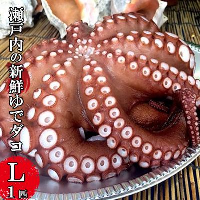 ふるさと納税 三原市 瀬戸内の新鮮ゆでダコ(L)1匹[5311-0203]