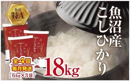 魚沼産 こしひかり 6kg ×3袋 計18kg 米 コシヒカリ お米 コメ 新潟 魚沼 魚沼産 白米 送料無料 新潟県産 精米 産直 産地直送 契約農家 お取り寄せ 壱成 新潟県 十日町市