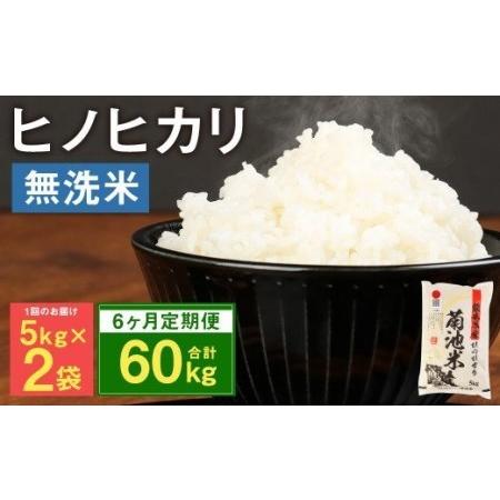 ふるさと納税 熊本県菊池産 ヒノヒカリ 無洗米 計60kg（5kg×2袋×6回）精米 お米 白米 熊本県菊池市