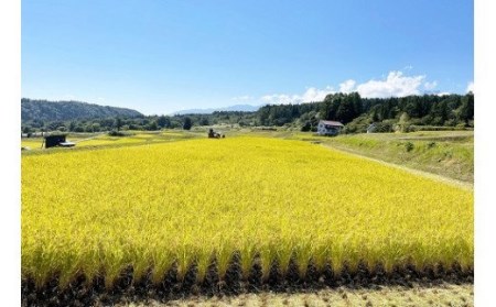 長野県小谷村百姓七人衆のゆめしなの　５kg