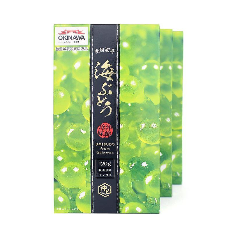 沖ピ 特選A品 海ぶどう 100％沖縄県産 専用シークヮーサータレ付き (360g(120g×3パック))