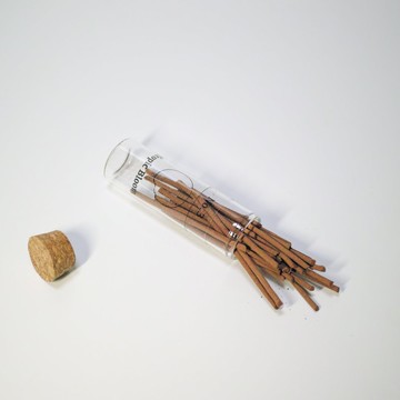 Tropic Bloom 雞蛋花與棕櫚交織的南國香氣