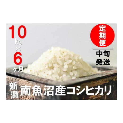 ふるさと納税 新潟県 南魚沼市 10kg×6ヶ月　南魚沼産コシヒカリ　うちやま農園米