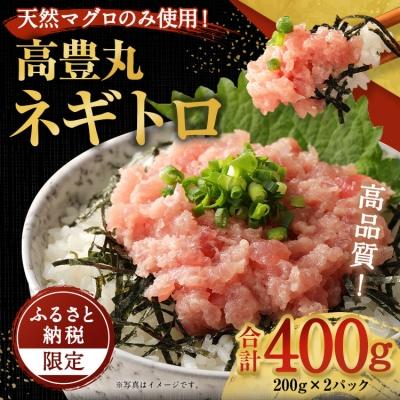 ふるさと納税 室戸市 高豊丸ネギトロ400g