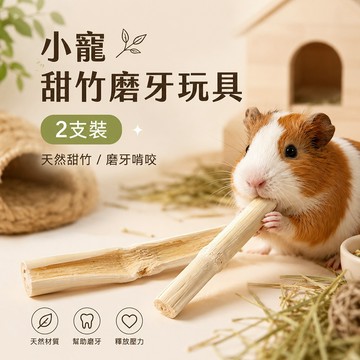 小寵甜竹磨牙玩具 天然甜竹 磨牙甜竹 磨牙棒 兔子 龍貓 天竺鼠零食 龍貓零食 兔子零食 磨牙樹枝 磨牙零食 2支裝