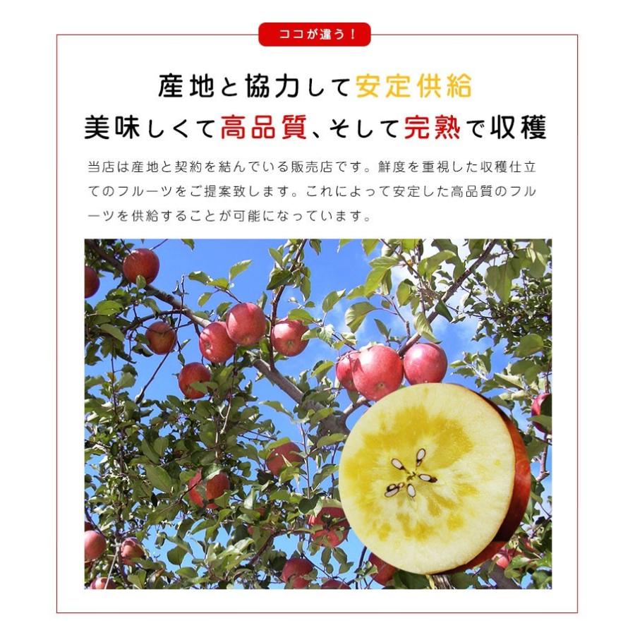 送料無料 青森県産蜜入りサンふじ9-11玉 約3kg りんご 3kg 蜜入りりんご 蜜りんご