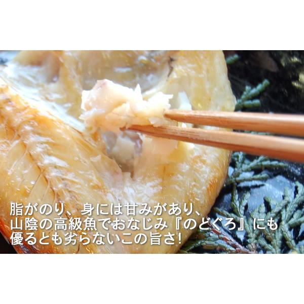 夢かさご開き（冷凍）小　3尾入（140ｇ以上）（兵庫県浜坂産）ノドグロに負けない美味しさ　（干物、夢カサゴ、キンキ）