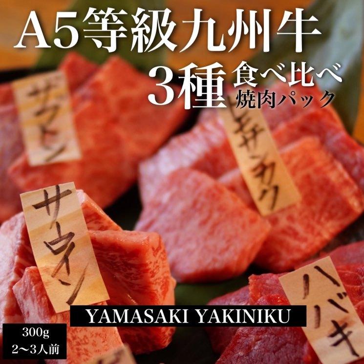 焼肉セット 鹿児島 高級 九州産 黒毛和牛 A5等級 食べ比べ やまさきの焼肉 焼き肉 3種盛り 300g