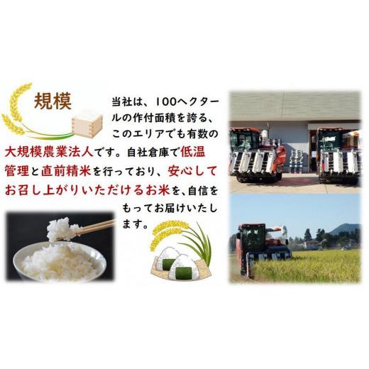 ふるさと納税 秋田県 大仙市 令和5年産 秋田県産あきたこまち 一等米 農家直送 玄米30kg