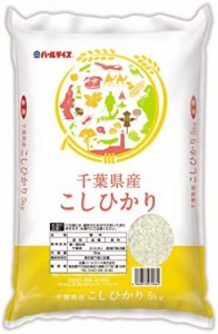 千葉県産 白米 コシヒカリ 5kg 令和4年産