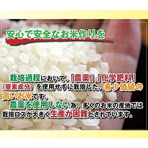 お米 10kg コシヒカリ 5分づき 5kg×2 農薬不使用 特別栽培米 兵庫県 丹波ささ山産 一等米 当日精米 令和5年産