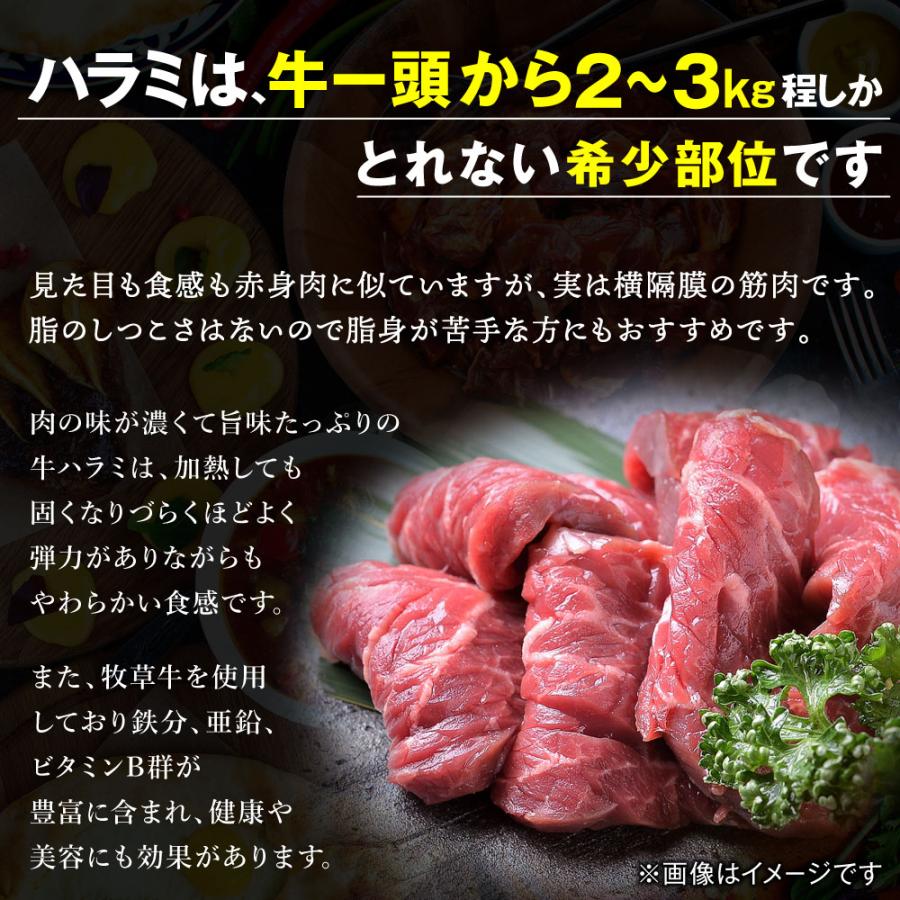 焼肉 牛肉 3kg 焼肉セット 5-9人前 ハラミ カルビ ホルモン 豚肉 送料無料