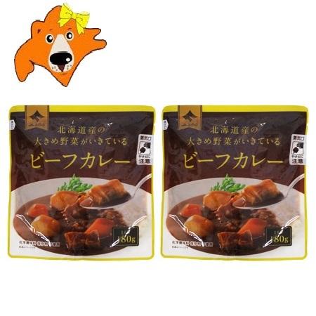 北海道 富良野 送料無料 カレー 北海道 富良野 ビーフカレー 1パック×2 富良野カレー 送料無料 カレー ふらの