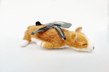 羊毛氈 小物 狗狗 柯基 哥基 磁石 磁鐵 迴紋針 髮夾 文具 收納