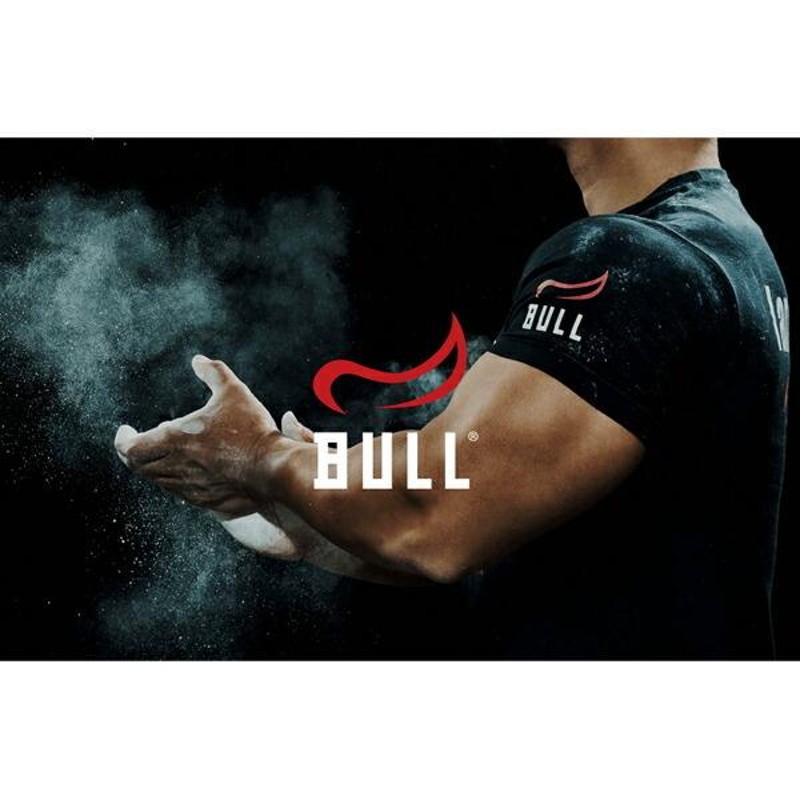 BULL ブル アームカールバー 代引き不可 返品・交換不可 メーカー直送品 BULL パワーリフティング バーベルバー フィットネス ホームジム  シャフト | LINEブランドカタログ