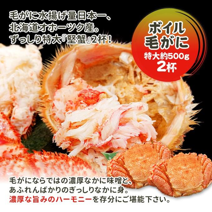 毛がに 特大 約500g 2杯 ボイル 毛ガニ 北海道 国産 送料無料 1kg