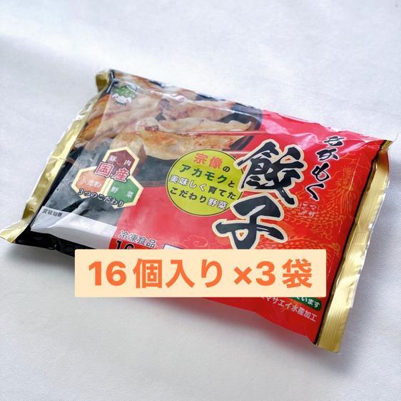 魚介類 魚介の加工品 送料無料 あかもく 80ｇ×10個 あかもく餃子２袋 産地直送