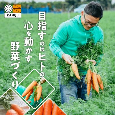 ふるさと納税 碧南市 訳あり!「マドンナキャロット」 3kg にんじん 野菜　H105-095