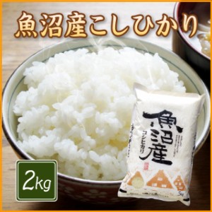 魚沼産 コシヒカリ 2kg （2キロ×1袋） お歳暮 ギフト 贈り物 米 2キロ 精米 特A 令和4年 2kg お米 2kg 安い 産地直送 ギフ