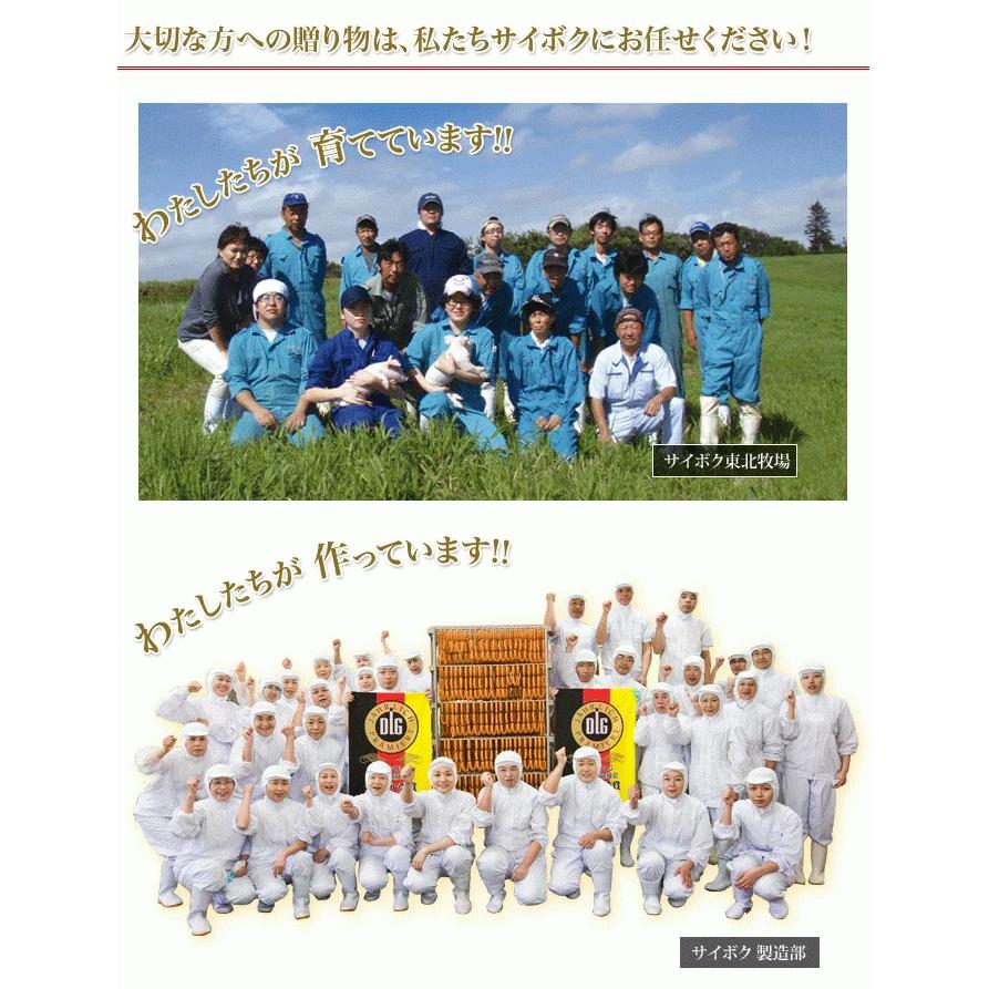 ギフト 内祝い お歳暮 御歳暮 詰め合わせ ハム 肉 送料無料 45FE 国産 贈り物 贈答品 お礼 お取り寄せグルメ 人気 サイボク お返し