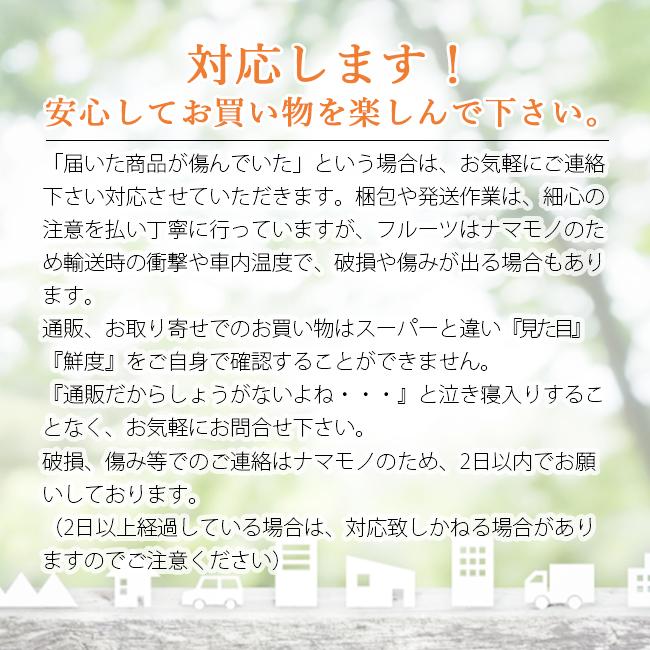 秋王 柿 6玉入 お歳暮 贈答 減農薬 福岡  農家直送 井上農園