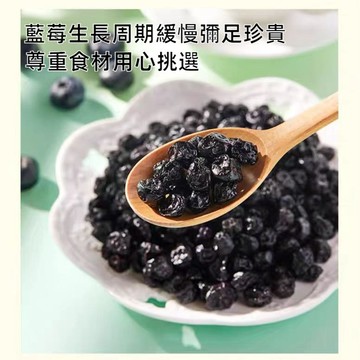 【24H發貨 台灣現貨】美國藍莓乾 200g 小藍莓 原味 天然藍莓乾 果乾 水果乾