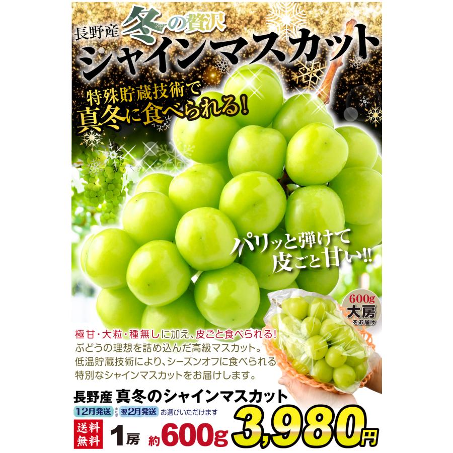 ぶどう 1房 真冬のシャインマスカット 長野産 約600g前後 大房 送料無料 国華園