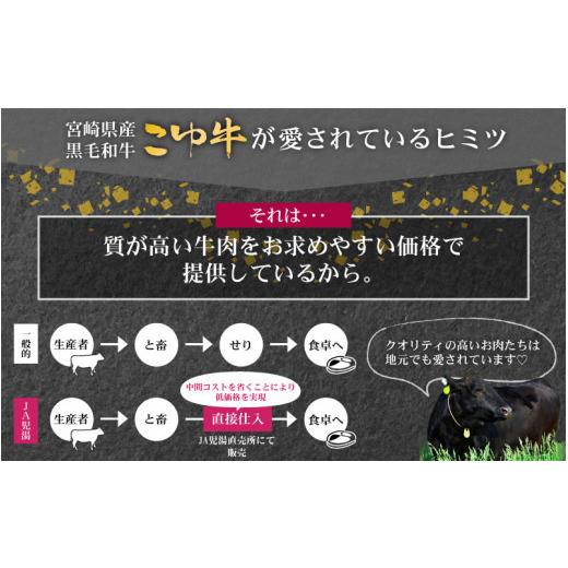 ふるさと納税 宮崎県 新富町 宮崎黒毛和牛＜JAこゆ牛＞すき焼き用（肩ロース）500g