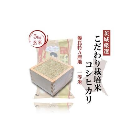 ふるさと納税 こだわり栽培 玄米 コシヒカリ 5kg お米 米 コシヒカリ  茨城県結城市