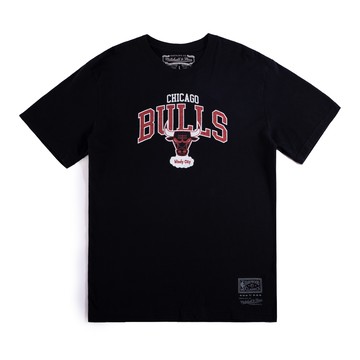 M&N NBA TEAM ARCH LOGO DAD 短袖上衣 公牛隊