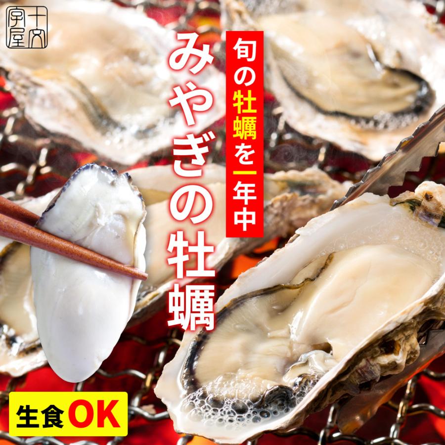 生食OK サイズ選べる 殻付き 牡蠣 宮城県産 1kg 13〜20個入 身入り抜群 冷凍 かき カキ お試し 産地直送