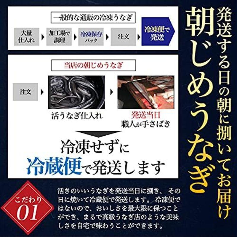 鰻 白焼き 国産 選べる 朝じめ うなぎ 白焼 ギフト 超特大 200?250g × 2尾 未冷凍 お取り寄せグルメ 冷蔵お届け お中元 父