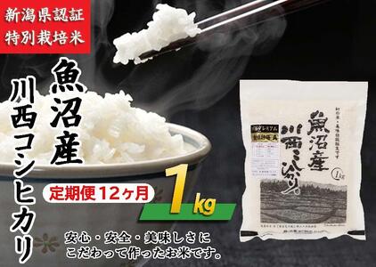 魚沼産川西こしひかり1kg　新潟県認証特別栽培米　令和５年度米