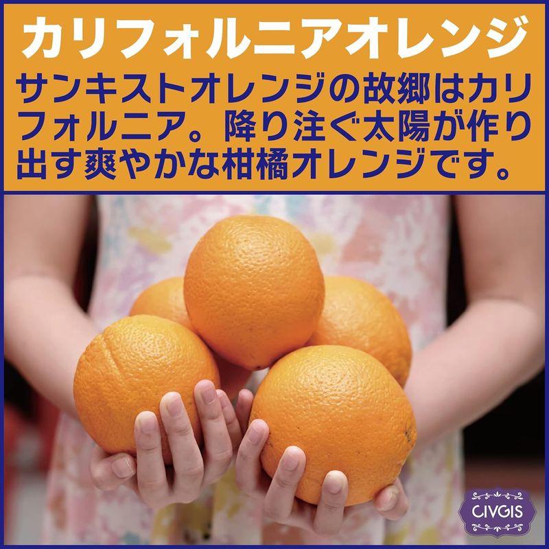 ドライオレンジ1kg完熟『キュートな輪切り』タイ産 Soft Dried Orange Value Pack 1kg (1)