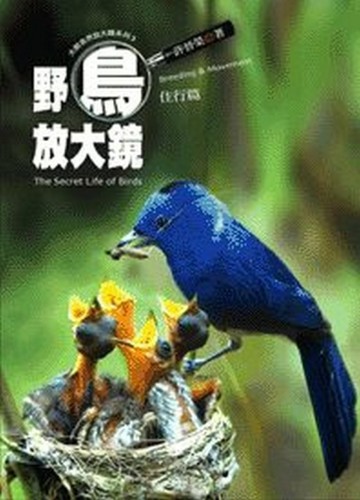 野鳥放大鏡（住行篇）【二手書_良好】TAAZE讀冊生活