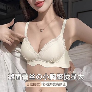 舒适内衣女 蕾丝花边内衣 小胸聚拢显大 上薄下厚内衣 夏季薄款内衣 无钢圈内衣 防下垂文胸罩棉 调整型内衣 上托内衣