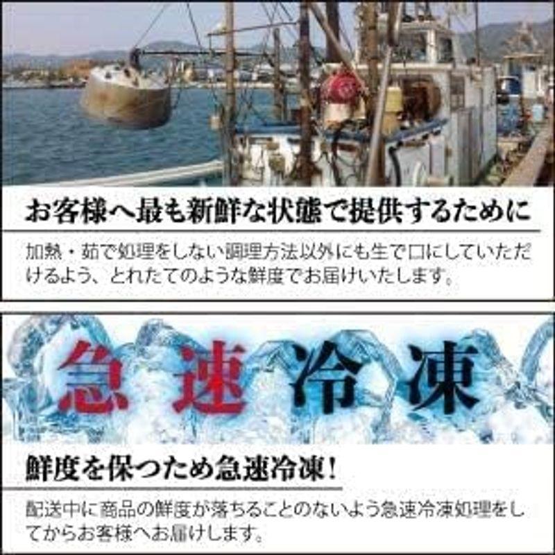 北海道産 毛蟹570ｇ前後 4尾セット ボイル 北海道毛ガニ 極寒で育った堅蟹をボイルし急速冷凍お中元 毛ガニ 国内産 北海道 特大 ボイル