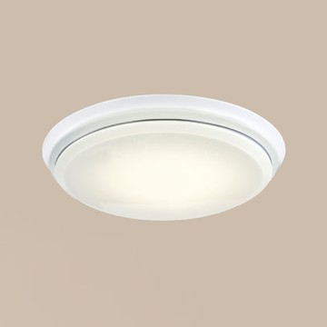 三色切換變色LED20W吸頂燈 F37-21-91964