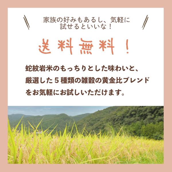 蛇紋岩米の無洗米と五穀米のブレンド米 雑穀米 2合 淨慶米穀 やぶらぶウォーカー