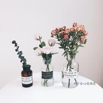 少女心放映室  北歐小棕瓶花瓶  ins復古透明玻璃瓶插花 拍照道具