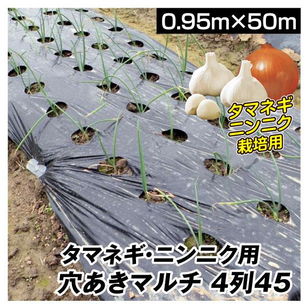 農業用マルチシート マルチング  農ポリ タマネギ・ニンニク用 穴あきマルチ 4列45 0.95×50m 1巻 送料無料 農用 被覆 ポリエチレン 国華園