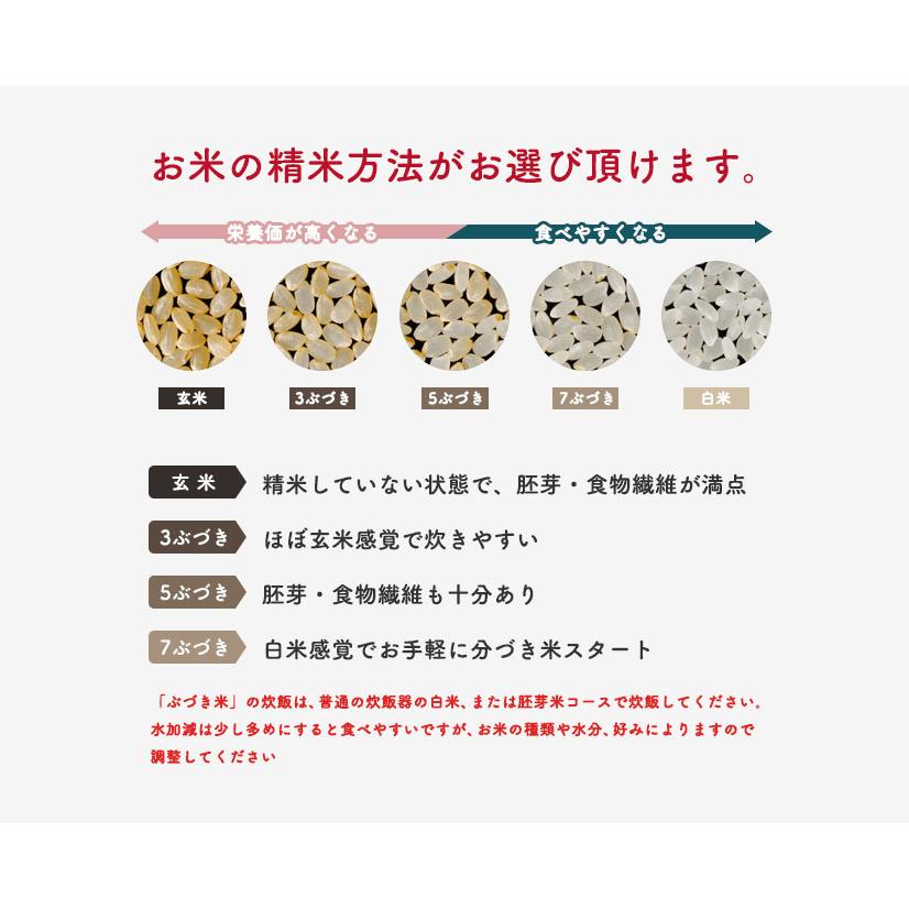 令和5年産 秋田県特別栽培農産物認証米特別栽培米 秋田県産 あきたこまち 20ｋｇ 5kg×4袋安心・安全なおいしいお米