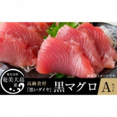 鹿児島県奄美大島産　黒マグロAセット