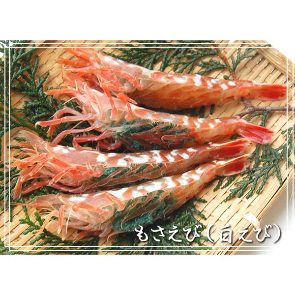 もさえび（冷凍）中　500ｇ（25尾前後入）　[お刺身可]　（クロザコエビ・モサエビ・海老）