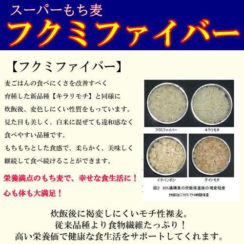 スーパーもち麦 フクミファイバー (950g×10袋) お買い得パック 令和5年 岡山県産  送料無料